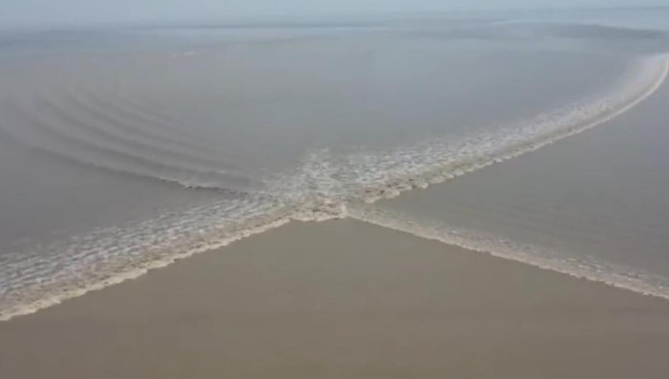 t4_(35X131X455X366)15661998638166805904916653488.png
