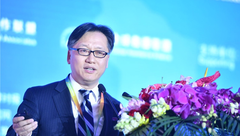 2019ä¸­å½ä¼ä¸èµ°åºå»é£é©åå¸å¤§ä¼