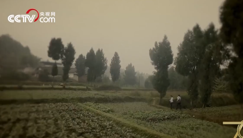 QQ截图20191104165121.png