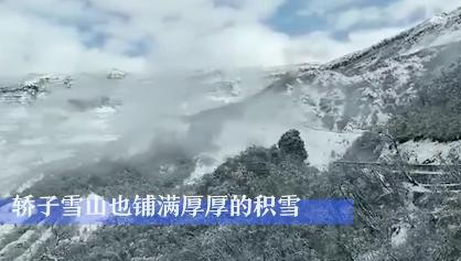 t4_(11X150X444X392)1575525303640747470075269047.png