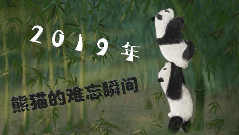 QQ截图20191214071721.jpg