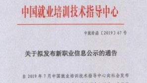 职业.jpg