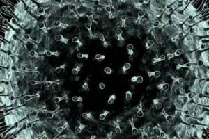 t3_(99X158X395X355)15793898938467237380225408785.jpg