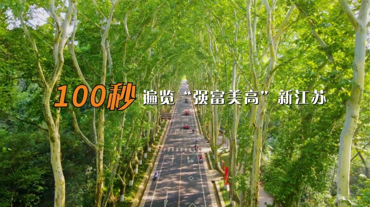 t4_(10X114X498X387)1673655993131535542485737759.jpg