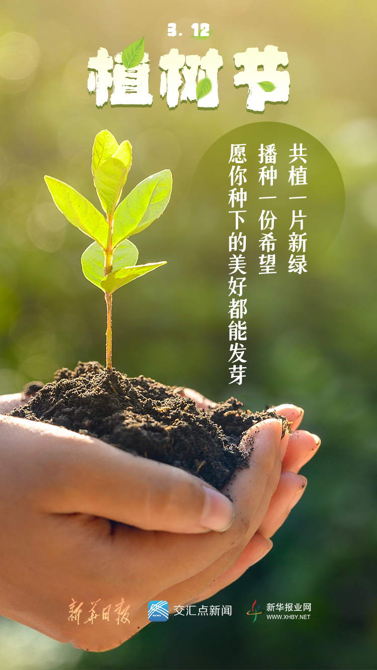 23 P 台湾切手 1954-59年 各種 記念・普通 植樹節造林保林・他