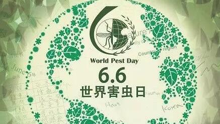 QQ截图20190605144347.jpg