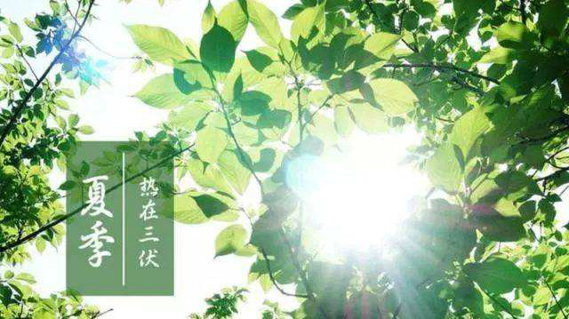 timg (1)_meitu_8.jpg