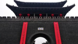 t3_(26X105X454X390)15729421850515836050865638223.jpeg