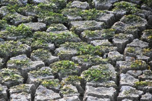 t3_(86X117X500X393)15737946662737569918183798876.jpg