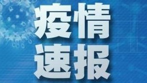 速报.jpg