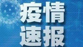 速报.jpg