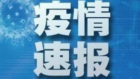 速报.jpg