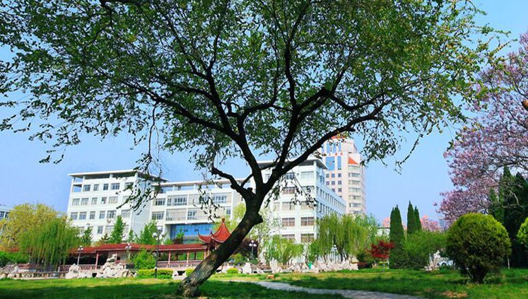 QQ图片20190706190543.jpg