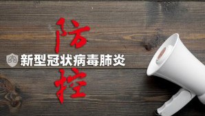 病毒2.jpg