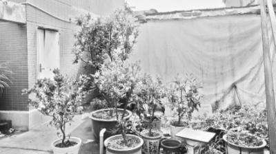 timg (5)_meitu_29.jpg