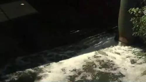 U020190530562048728041.jpeg