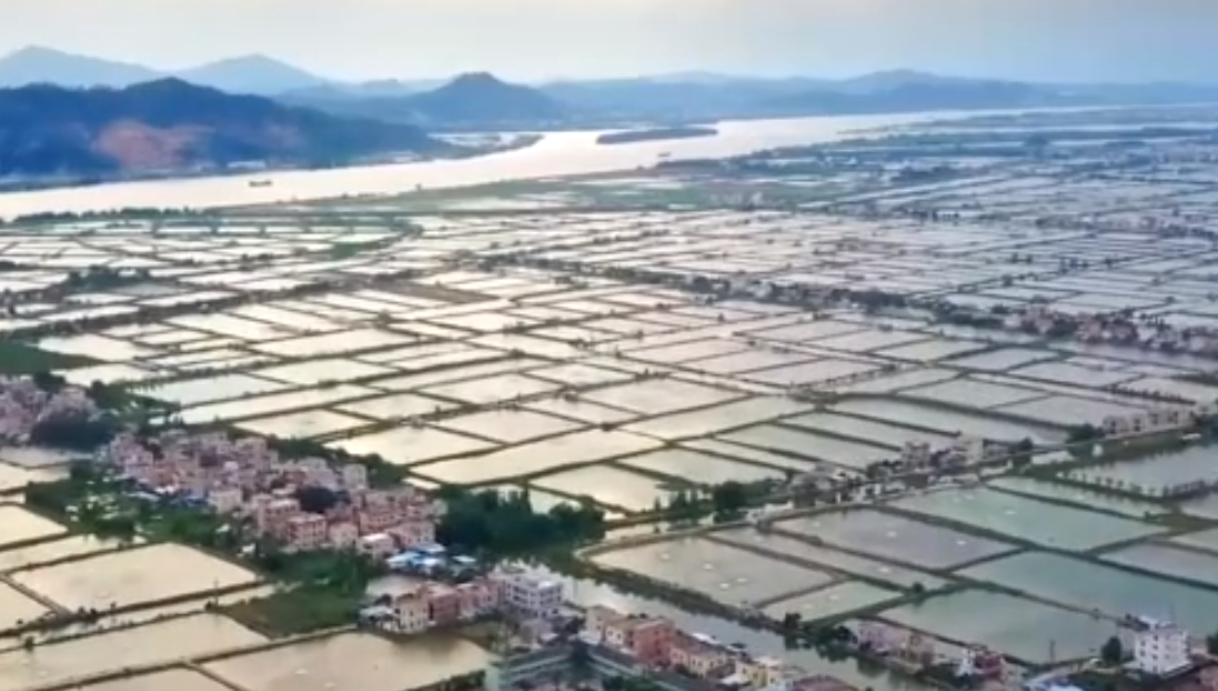 QQ图片20190629165336.png