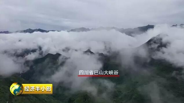 QQ截图20190802132103.jpg