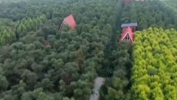W020190815557450026251.png