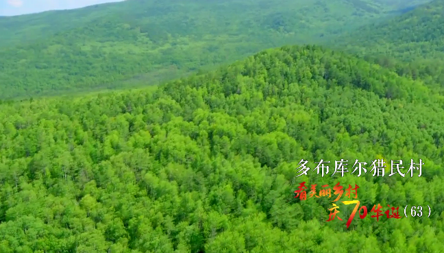 QQ截图20200130223546.png