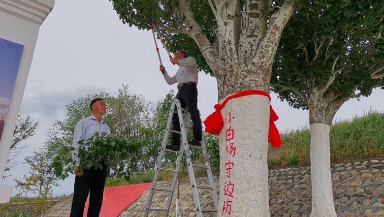 QQ截图20190610213612.jpg