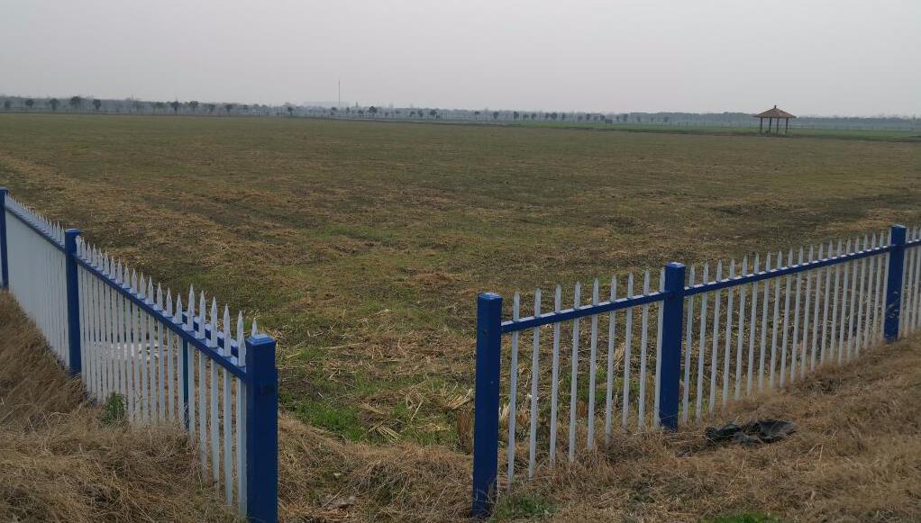 QQ截图20200119181330.jpg