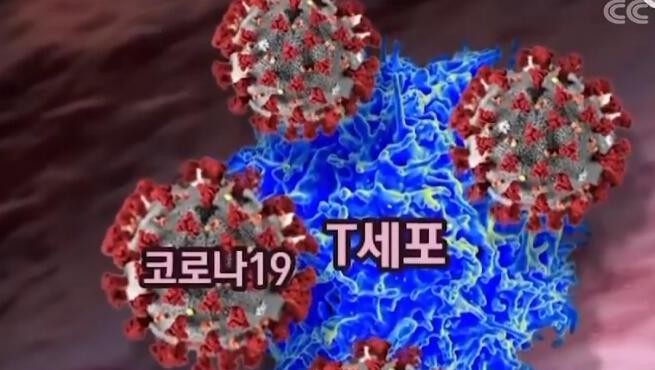 t4_(101X154X431X339)158687158728618079960645332083.jpg