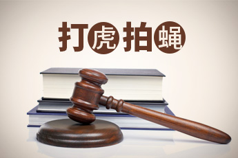 打虎拍蝇345.jpg