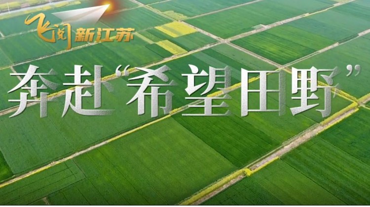 t4_(21X125X476X380)16653927023688792786476691166.png