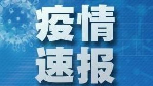 速报.jpg
